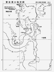 東京湾口海況図(2013/02/09)