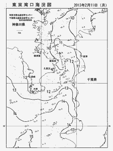 東京湾口海況図(2013/02/11)