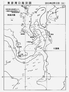東京湾口海況図(2013/02/12)