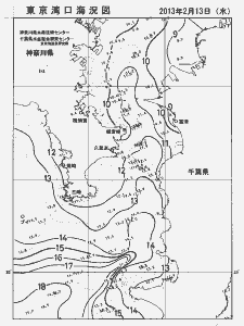 東京湾口海況図(2013/02/13)