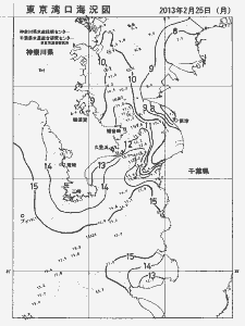 東京湾口海況図(2013/02/25)