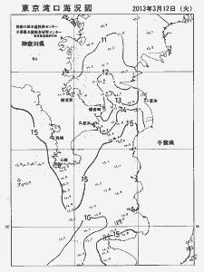 東京湾口海況図(2013/03/12)