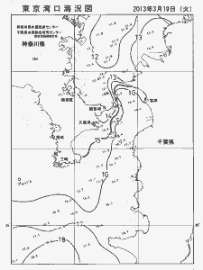 東京湾口海況図(2013/03/19)