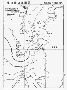 東京湾口海況図(2013/03/28)