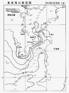 東京湾口海況図(2013/03/30)