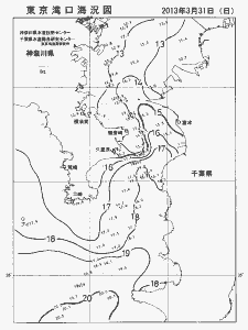 東京湾口海況図(2013/03/31)