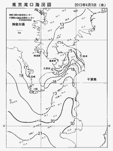東京湾口海況図(2013/04/03)