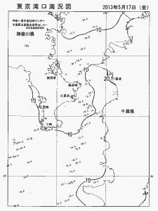 東京湾口海況図(2013/05/17)