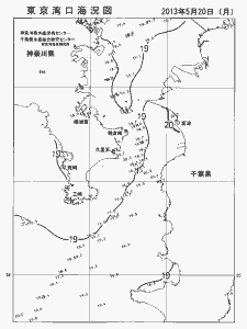 東京湾口海況図(2013/05/20)