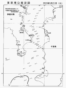 東京湾口海況図(2013/05/21)