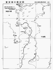東京湾口海況図(2013/05/25)