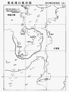 東京湾口海況図(2013/05/28)