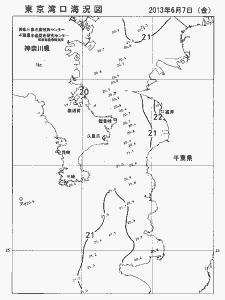 東京湾口海況図(2013/06/07)