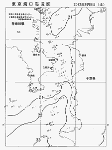 東京湾口海況図(2013/06/08)