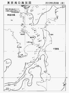 東京湾口海況図(2013/06/09)