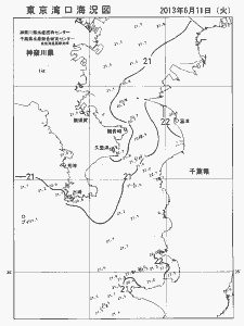東京湾口海況図(2013/06/11)