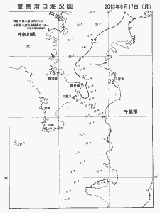 東京湾口海況図(2013/06/17)