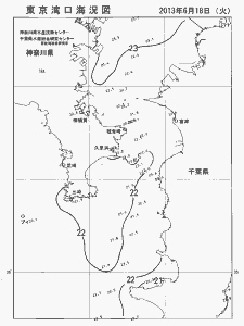 東京湾口海況図(2013/06/18)