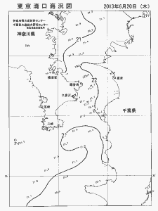 東京湾口海況図(2013/06/20)