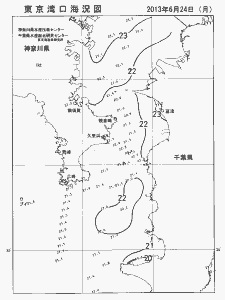 東京湾口海況図(2013/06/24)