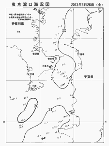 東京湾口海況図(2013/06/28)