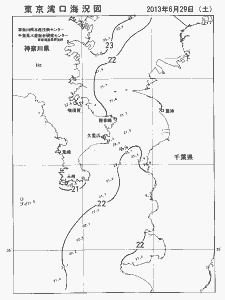 東京湾口海況図(2013/06/29)