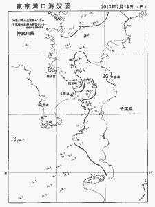 東京湾口海況図(2013/07/14)