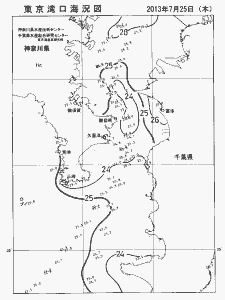 東京湾口海況図(2013/07/25)
