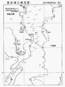 東京湾口海況図(2013/08/05)