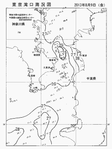 東京湾口海況図(2013/08/09)