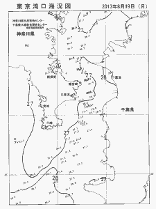 東京湾口海況図(2013/08/19)