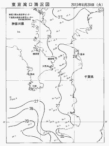 東京湾口海況図(2013/08/20)