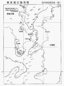 東京湾口海況図(2013/08/25)
