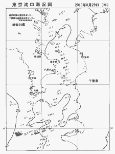 東京湾口海況図(2013/08/29)