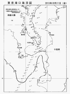 東京湾口海況図(2013/10/11)