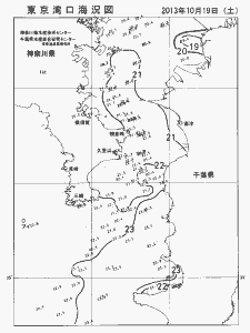 東京湾口海況図(2013/10/19)