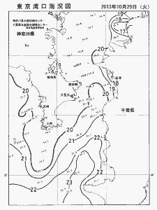 東京湾口海況図(2013/10/29)