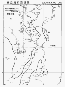 東京湾口海況図(2013/10/30)