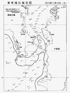 東京湾口海況図(2013/11/12)