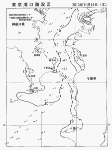 東京湾口海況図(2013/11/14)