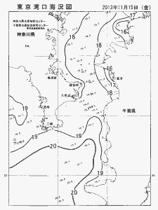 東京湾口海況図(2013/11/15)