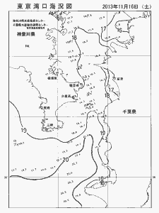 東京湾口海況図(2013/11/16)
