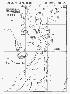 東京湾口海況図(2013/11/19)