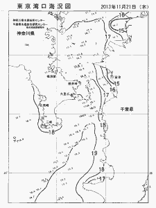 東京湾口海況図(2013/11/21)