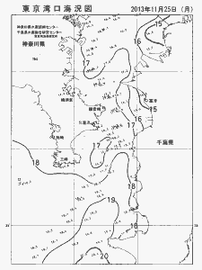 東京湾口海況図(2013/11/25)