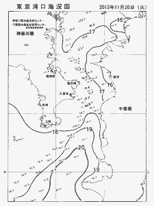 東京湾口海況図(2013/11/26)