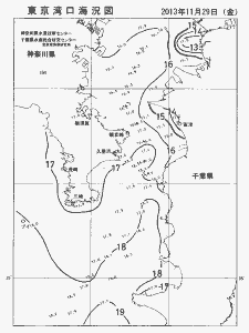 東京湾口海況図(2013/11/29)