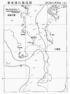 東京湾口海況図(2013/11/30)