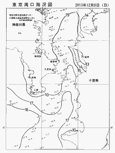 東京湾口海況図(2013/12/08)