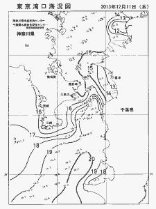 東京湾口海況図(2013/12/11)